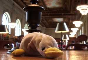 Duckie at the NYC library mini